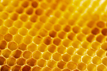 Abstraction. texture of a section of Golden wax honeycomb from a beehive filled with Golden honey full frame view