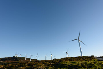 wind turbines farm