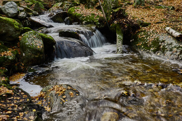 Obraz premium Small waterfalls in the bed of the Sestil de Maíllo stream. Autumn in the Sierra de Guadarrama National Park. Madrid's community. Spain