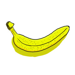 One banana isolated on a white background.  Colored vector illustration for design, posters and print.