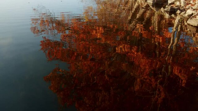 Crisp autumn morning sunrise on a lake in Maine