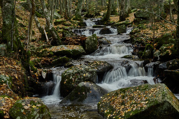 Obraz premium Small waterfalls in the bed of the Sestil de Maíllo stream. Autumn in the Sierra de Guadarrama National Park. Madrid's community. Spain