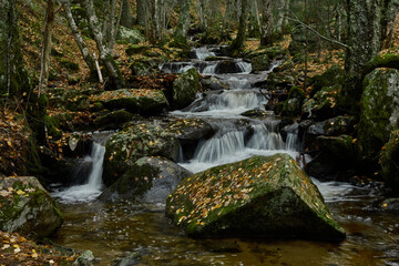 Fototapeta premium Small waterfalls in the bed of the Sestil de Maíllo stream. Autumn in the Sierra de Guadarrama National Park. Madrid's community. Spain