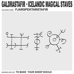  vector icon with ancient Icelandic magical staves Fjarspektarstafir. Symbol means and is used to make your sheep docile
