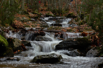 Small waterfalls in the bed of the Sestil de Maíllo stream. Autumn in the Sierra de Guadarrama National Park. Madrid's community. Spain