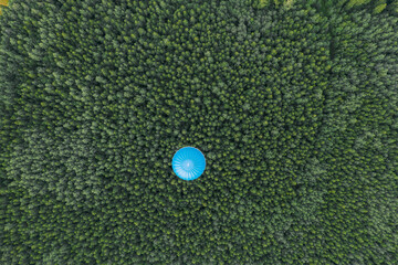 Flying blue balloon over green forest.