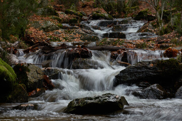 Small waterfalls in the bed of the Sestil de Maíllo stream. Autumn in the Sierra de Guadarrama National Park. Madrid's community. Spain