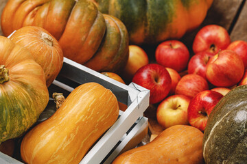 Autumn harvest of pumpkins and apples on wooden board