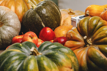 Autumn harvest of pumpkins and apples on wooden board