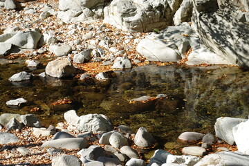 白い岩場の間を流れる秋の渓流と落葉