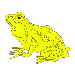 Sitting frog. Heraldry. Hand drawn vector illustration isolated on white.