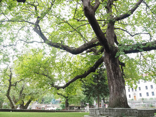 Greece Mestovo town nature park
