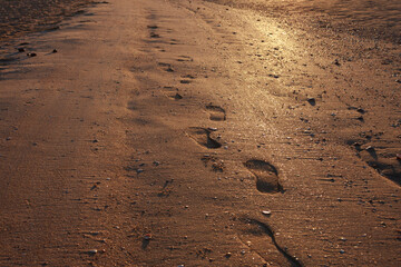 footprints in the sand on the beach