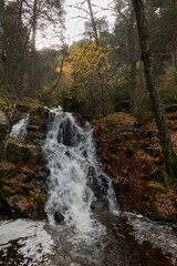 Obraz premium Small waterfalls in the bed of the Sestil de Maíllo stream. Autumn in the Sierra de Guadarrama National Park. Madrid's community. Spain