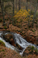 Small waterfalls in the bed of the Sestil de Maíllo stream. Autumn in the Sierra de Guadarrama National Park. Madrid's community. Spain