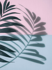 Palm leaf and leaf shadow on gray and pink background. Houseplant. Phoenix plant. Minimal tropical abstract concept in hard light. Exotic plant and exotic colors
