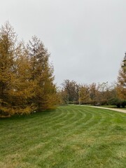 autumn in the park