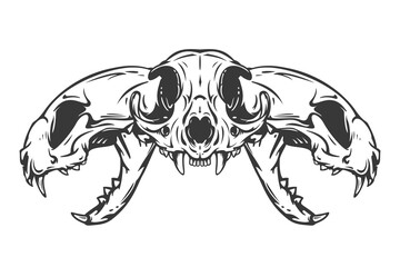 Three cat skull in monochrome hand drawn style isolated on white background. Vector cartoon illustration. Retro vintage design concept for tattoo, print, cover.