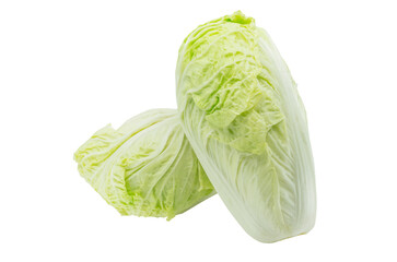 Isolated two fresh organic Chinese Cabbages on white background. One Chinese Cabbage is leaned on the others one.