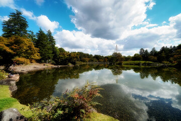 昭和記念公園日本庭園の水鏡と青空