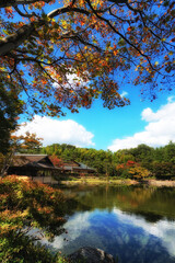 昭和記念公園日本庭園の紅葉と青空