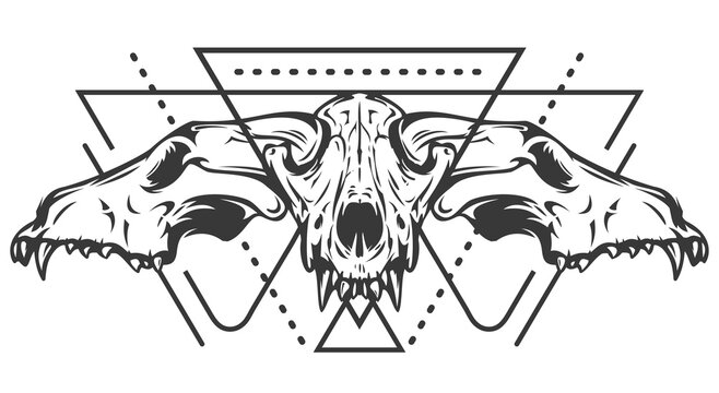 Monochrome composition with sacred geometry forms and wolf or dog skull. Vintage design concept isolated on white background. Modern vector illustration.