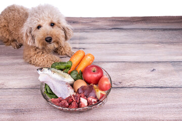 Obedient healthy dogs posing with barf raw meat on wooden surface