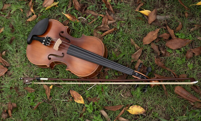 Violin and bow put on green grass ground floor