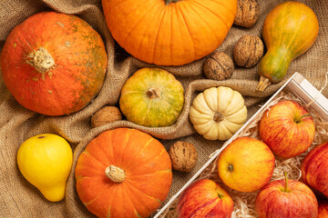 Thanksgiving background with decorative pumpkins on burlap. Autumn still life. Halloween holiday.