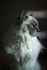 Profil kota © Marcin