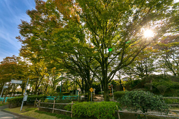 新宿交通公園（東京都葛飾区新宿）