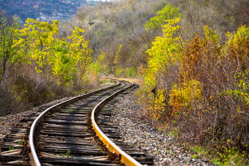 Russian Straight Railway with trees. Landscape with railroad, summer time traveling, freedom of...