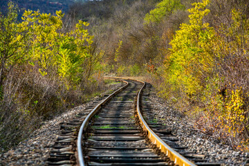 Russian Straight Railway with trees. Landscape with railroad, summer time traveling, freedom of...