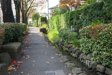 Obraz premium 新柴又・親水さくらかいどう（東京都江戸川区北小岩）