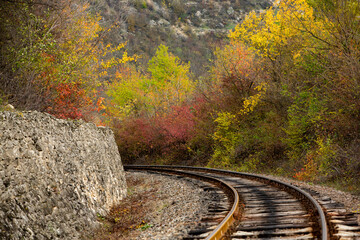 Russian Straight Railway with trees. Landscape with railroad, summer time traveling, freedom of...