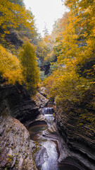 The Autumn Trees  and Waterfall in Watkins Glen State Park at New York, USA