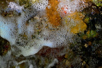 close up of a coral reef