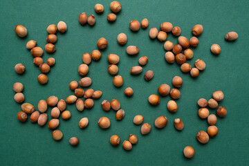 hazelnuts are evenly spaced on a green background