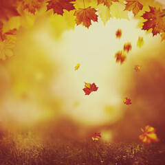 Naklejka na ściany i meble Wonderful autumn day in the forest
