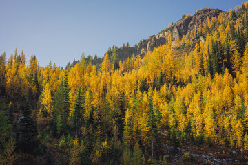 Pasayten Wilderness in Fall