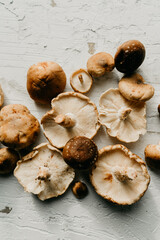 Bunch of fresh collected shiitake mushrooms