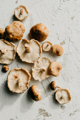 Bunch of fresh collected shiitake mushrooms