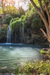 the water flows down the hill and flows into the lake, waterfall in a cozy natural place