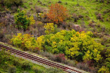 Russian Straight Railway with trees. Landscape with railroad, summer time traveling, freedom of...