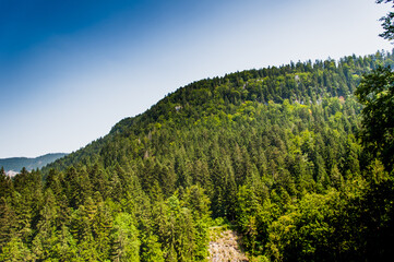 Doubs Gorges on the Franco-Swiss border