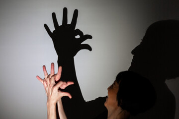 play shadow projected against a white background, a rooster