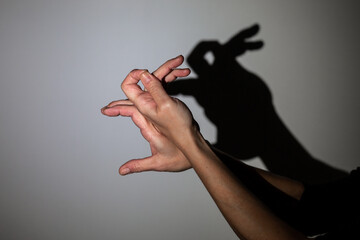 play shadow projected against a white background, rabbit