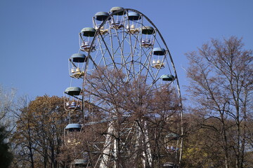 ferris wheel in the park