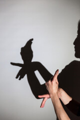 play shadow projected against a white background. pigeon