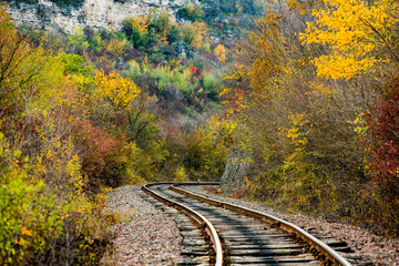 Russian Straight Railway with trees. Landscape with railroad, summer time traveling, freedom of...